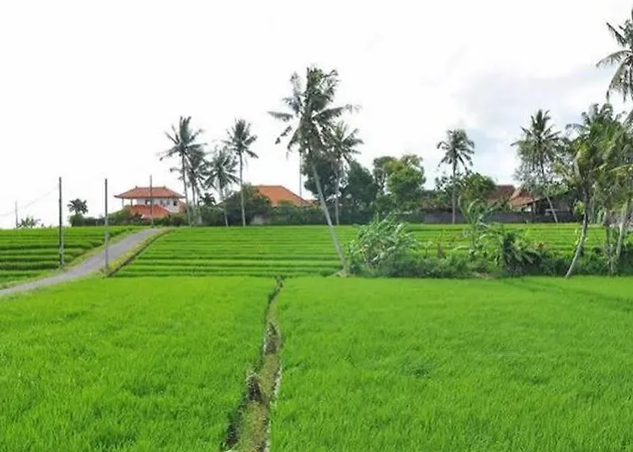 ヴィラ Toraja A Hidden Luxury Retreat In The *